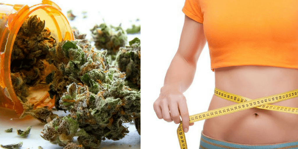 Different Types of Cannabis